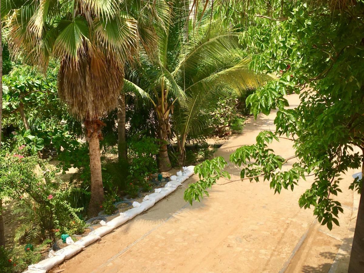 Hotel Rinconcito De Mazunte Santa Maria Tonameca Bagian luar foto